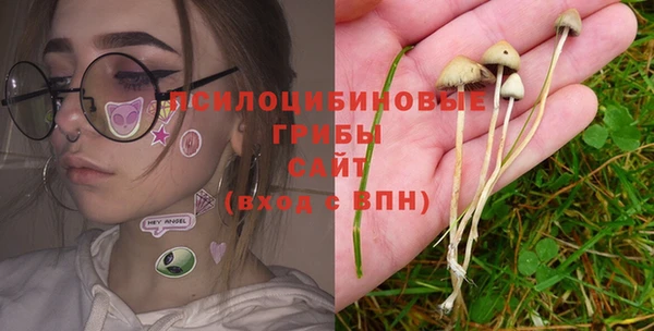 дживик Балахна